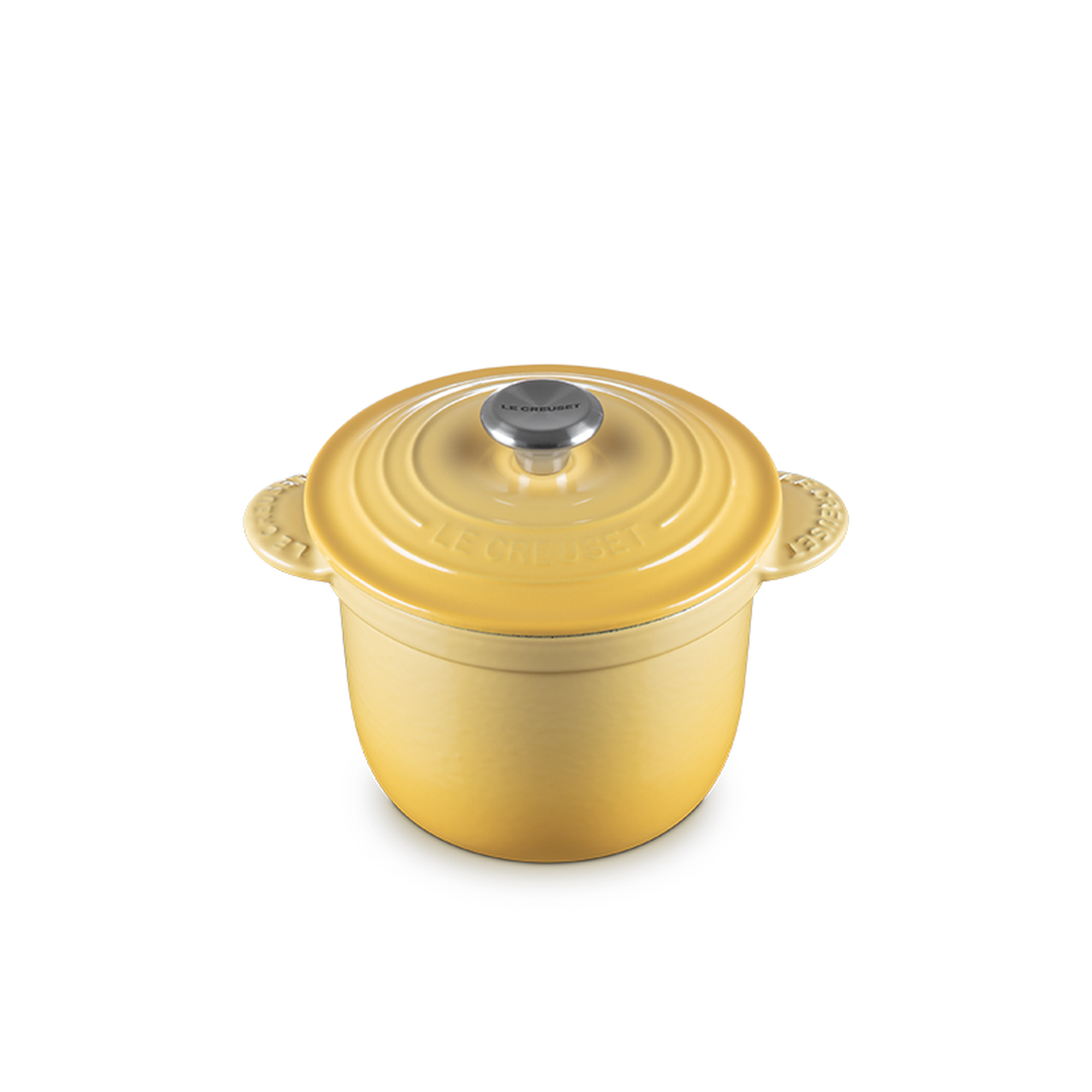 Rice Pot