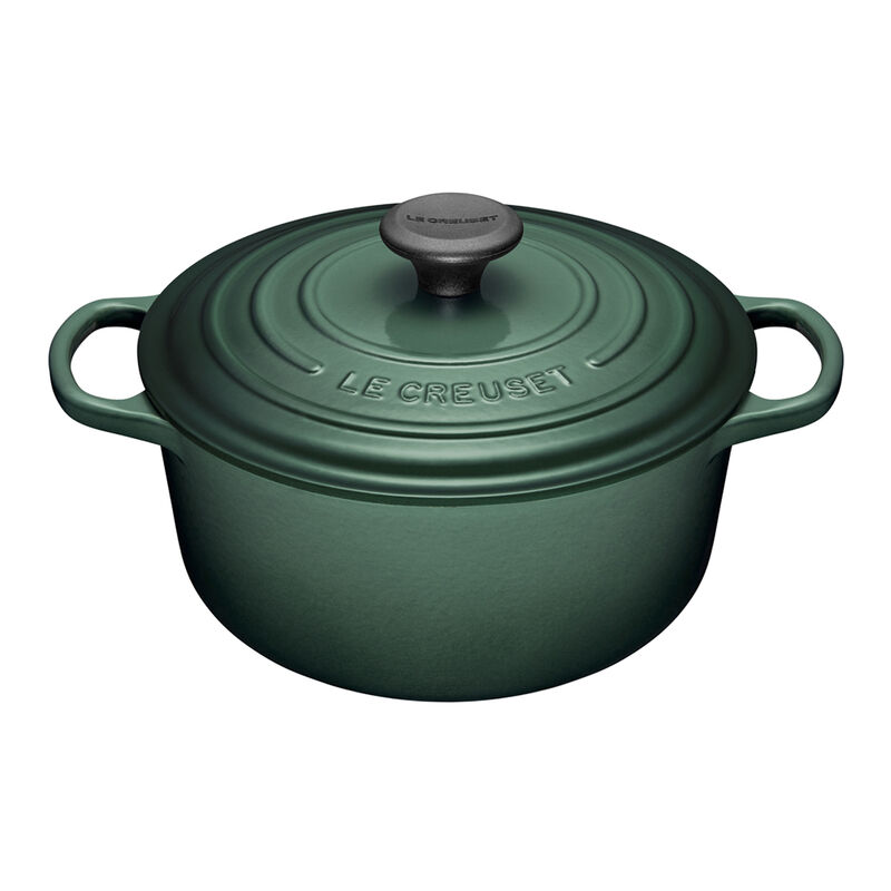 Unparalleled Memoir Picture Archive