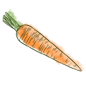 Carottes