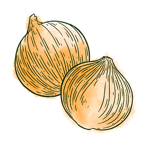 Onion