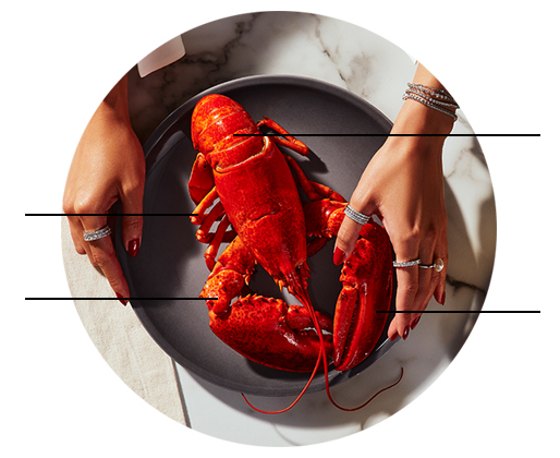 Lobster Bisque