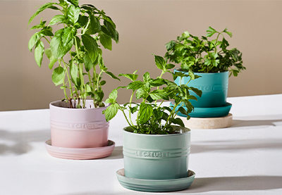 Herb Planters