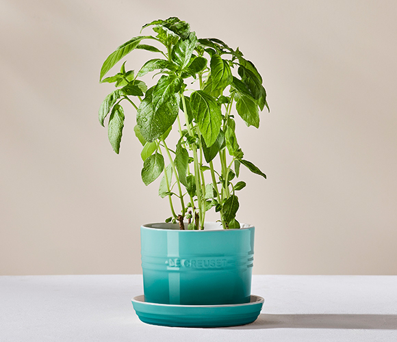 Herb Planters in Bleu Riviera