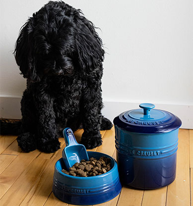 Magasiner l’ensemble pour animal de compagnie