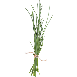 Ciboulette